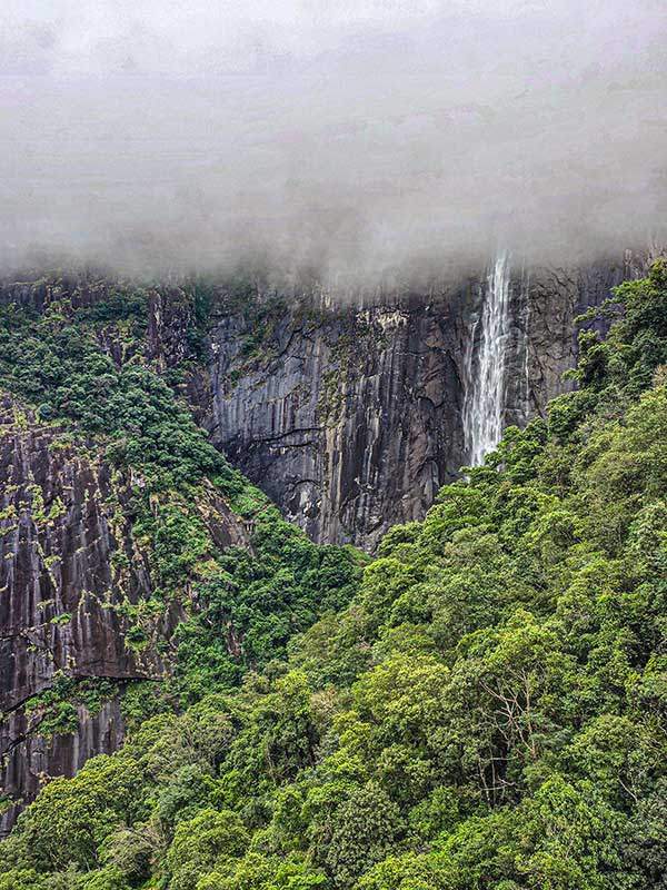 케이블카에서 본 대선폭포. 신선이살 것처럼 신비로운 분위기라 하여 폭포 이름이 유래한다.