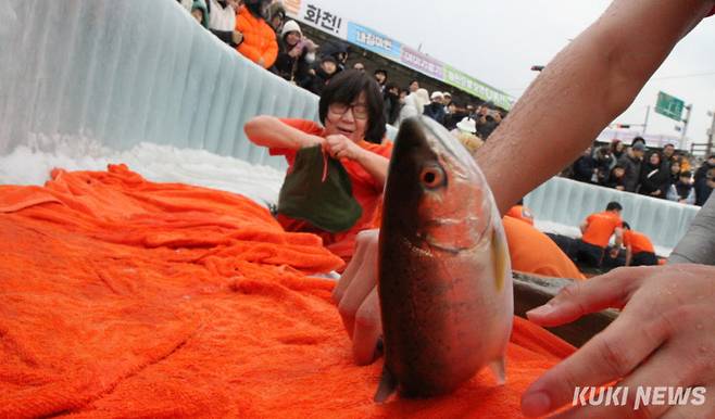 10일 오후 강원 화천군 화천천 일대에서 열리는 화천산천어축제를 찾은 관광객들이 산천어맨손잡기를 체험하며 즐거운 시간을 보내고 있다.