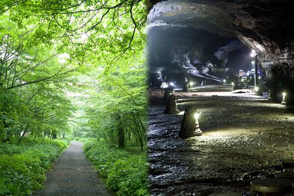 제주 지역화폐 인센티브는 전통시장과 소상공인 업소 등에서 사용 가능하다. 게티이미지