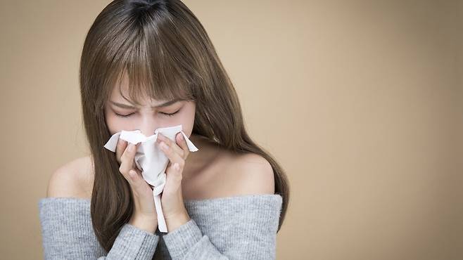 클립아트코리아