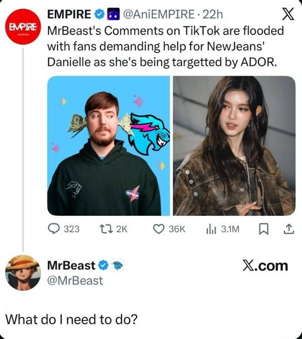 뉴진스 팬덤 반응을 두고 미스터비스트가 댓글을 남기기도 했다.
