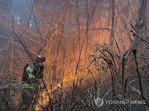 의성 산불 진화하는 소방관 (의성=연합뉴스) 10일 오후 경북 의성군에서 대형 산불이 나 산불 대응 2단계와 소방 대응 2단계가 발령된 가운데 한 소방관이 진화에 나서고 있다. 2026.1.10 [경북도소방본부 제공, 재판매 및 DB 금지]
