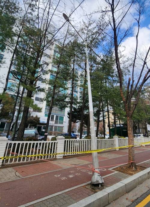 10일 오후 안양시 평촌동의 한 가로등이 쓰러져 있다. 사진=안양소방서