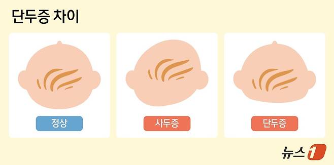 ⓒ News1 양혜림 디자이너