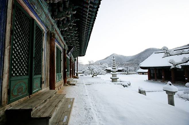 “절이 이렇게 아름다울 수 있나요?”… 자연과 유산이 공존하는 선운사 | 여행탐구