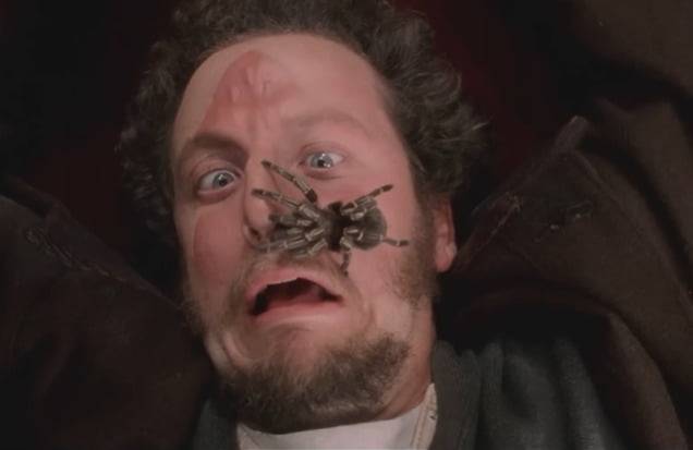 /사진=영화 '나 홀로 집에' 캡쳐