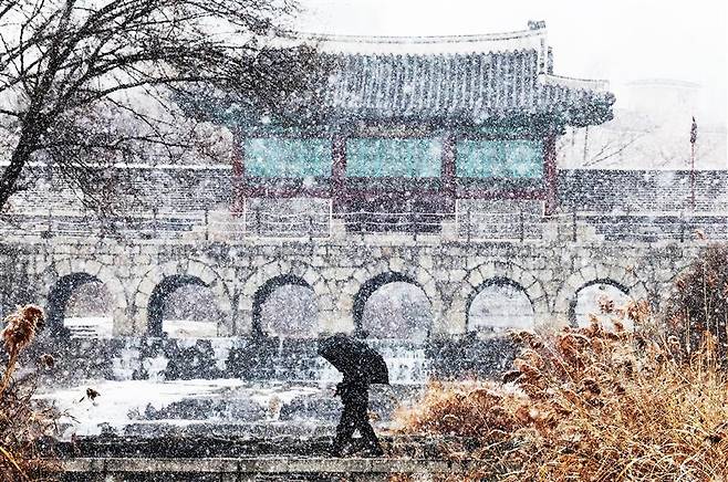 A pedestrian walks through falling snow in front of the Hwahongmun Gate of the Hwaseong Fortress in Suwon, Gyeonggi, on Jan. 12. The fortress, built in the 18th century, was designated as a World Heritage site by Unesco in 1997.