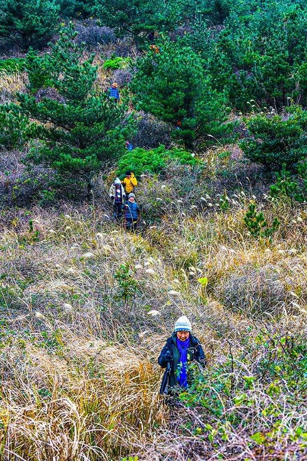 알오름들 때문에 오르막과 내리막이 반복되지만, 걷는 재미가 좋다.