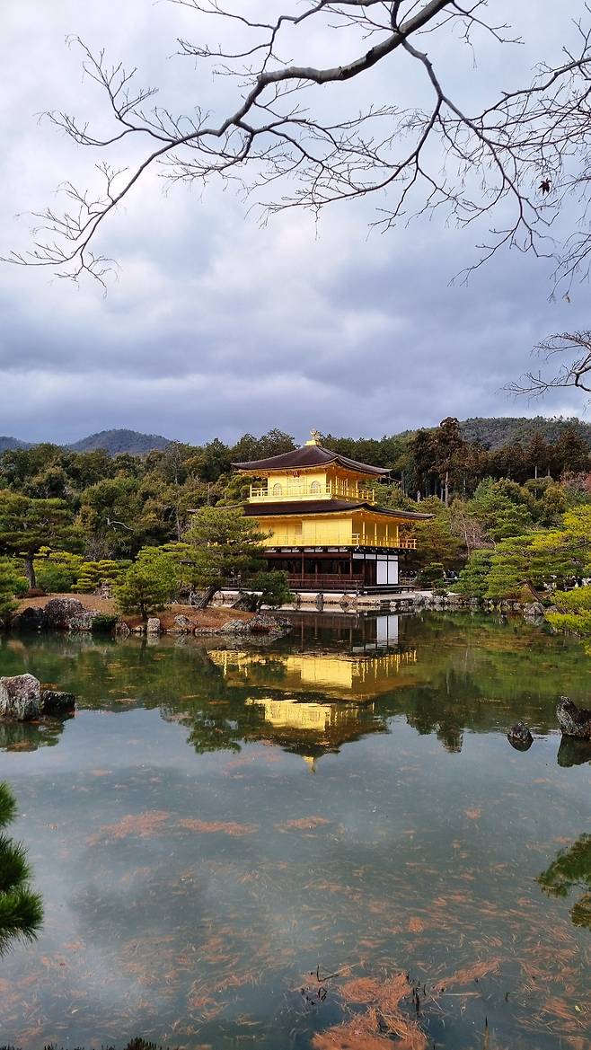 교토의 금각사.