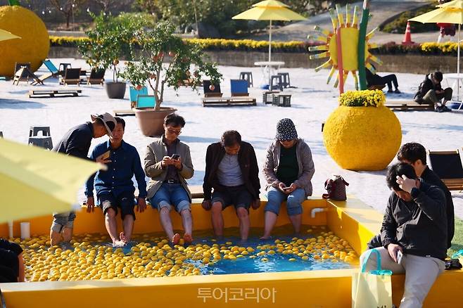 고흥유자축제/사진-전남도
