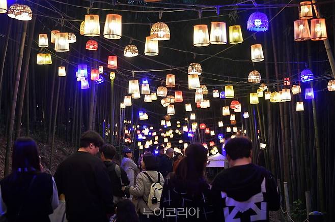 담양대나무축제 /사진-담양군