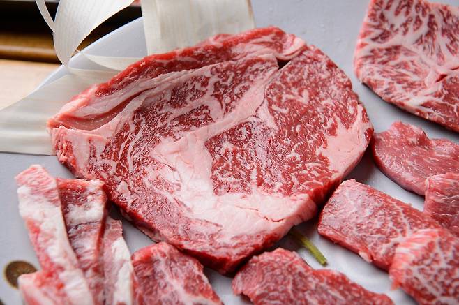 소고기.[게티이미지뱅크]