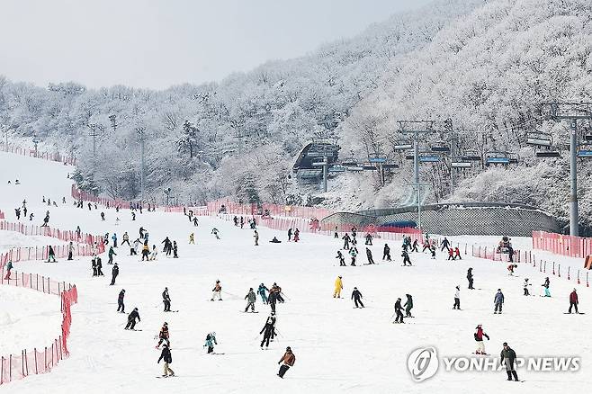 '겨울이 좋아'…스키장 찾은 시민들 [연합뉴스 자료사진]
