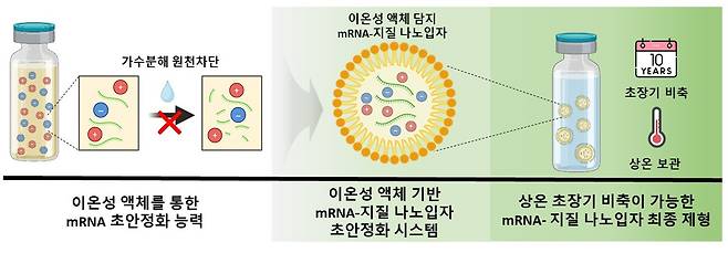 mRNA 보관 전략 및 최종 제형 이미지. /포항공과대학교 제공