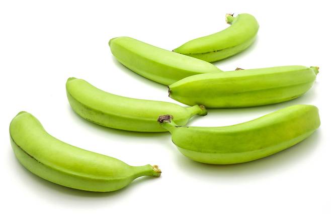 체지방을 조금이라도 더 많이 줄이고 싶다면, 노란색 완숙 바나나가 아니라 살짝 덜 익어 푸른빛이 도는 바나나가 효과적이다. 사진= 게티이미지뱅크