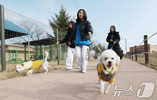 14일 경기 화성시 마도면 반려마루 화성에서 청소년 자원봉사자들이 방학을 맞아 보호동물과 교감활동을 하고 있다.  2026.1.14/뉴스1 ⓒ News1 김영운 기자