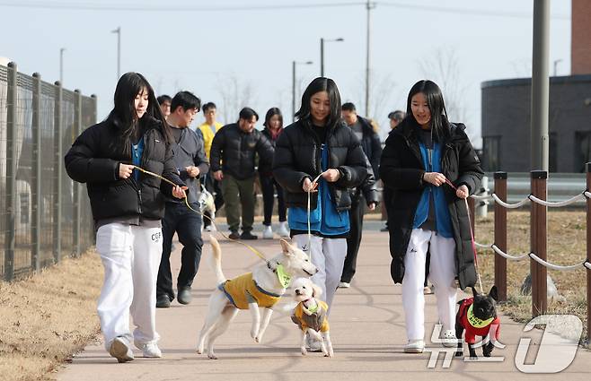 14일 경기 화성시 마도면 반려마루 화성에서 청소년 자원봉사자들이 방학을 맞아 보호동물과 교감활동을 하고 있다. 2026.1.14/뉴스1 ⓒ News1 김영운 기자