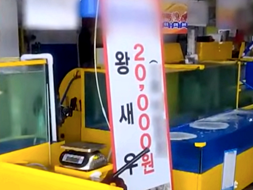 인천 소래포구 종합어시장에서 한 상인이 가격 담합을 위해 제작한 배너. JTBC 사건반장
