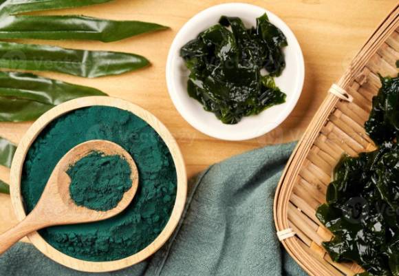 다시마. [사진= Vecteezy]