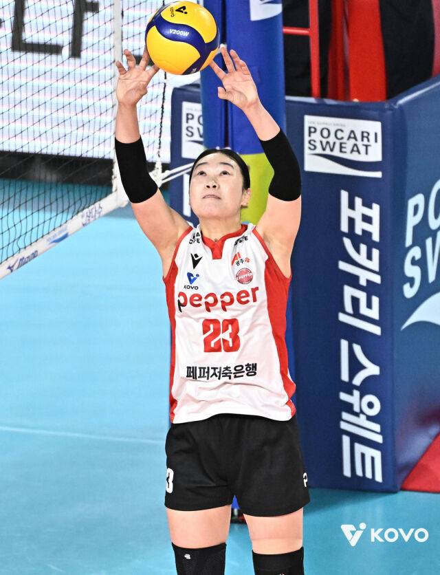 '도공→GS→흥국→페퍼' 부상에서 돌아온 야전사령관 손끝을 주목하라 더 많이 뛰어 승리 이끌 것