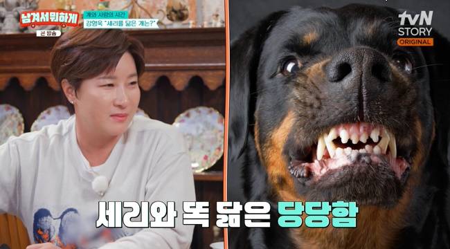 사진=tvN STORY ‘남겨서 뭐하게’ 캡처