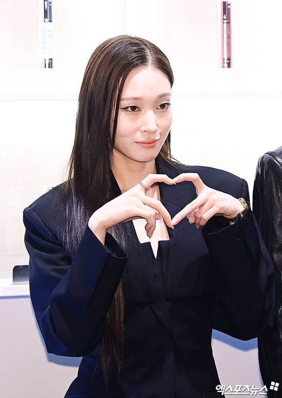 애니
