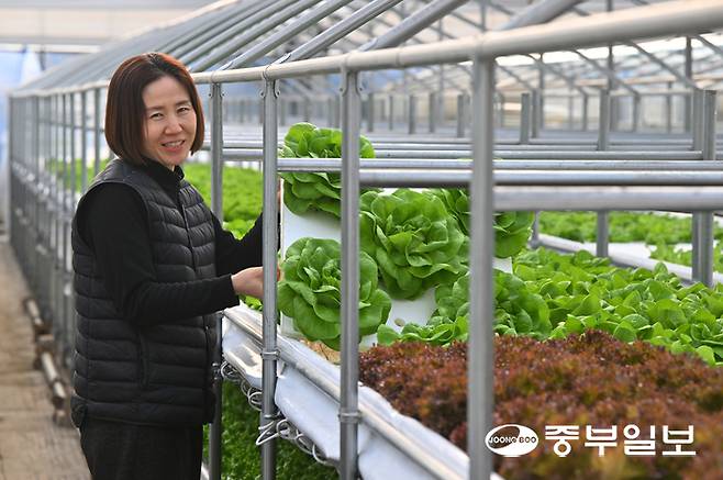 최윤선 안산 꿈의농장 대표가 아쿠아포닉스 농법으로 재배 중인 시설채소에 대해 설명하고 있다. 김경민기자