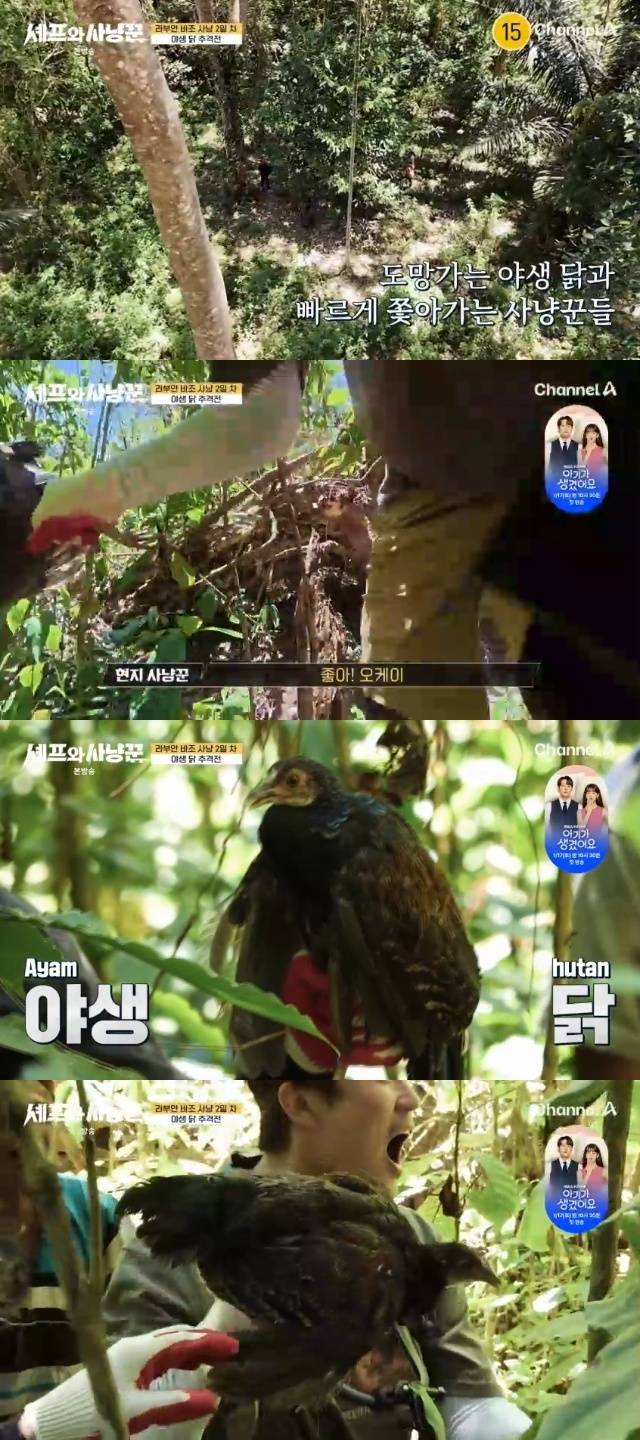 채널A ‘셰프와 사냥꾼’ 캡처