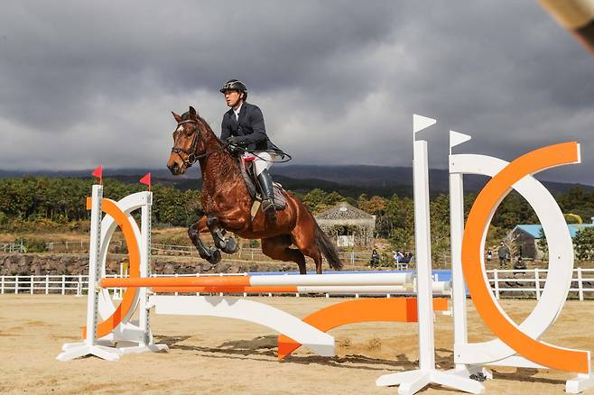 승용마로 제2의 길을 시작하는 은퇴 경주마를 위한 지원사업이 진행된다.