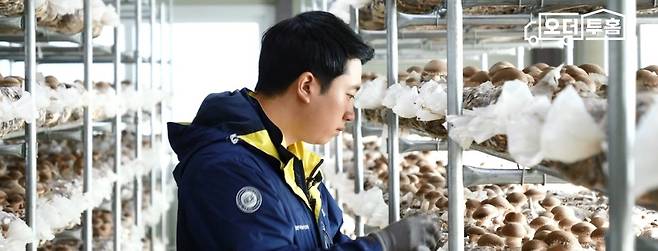 최영창 농가 '미송화 버섯세트' 산지사진(이마트 제공)