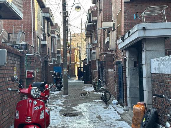 재개발 본격화를 앞둔 성동구 성수4지구 골목에 고양이 한 마리가 지나가고 있다. [사진=김민지 기자]