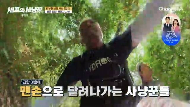 김대호 야생 닭 사냥→추성훈, 또 맨손으로 멧돼지 잡나(셰프와 사냥꾼)[어제TV]