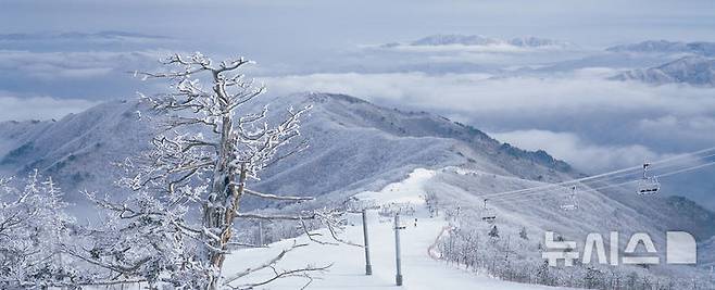 [서울=뉴시스] 무주덕유산리조트 설천봉 슬로프 전경. (사진= 부영그룹 제공) photo@newsis.com