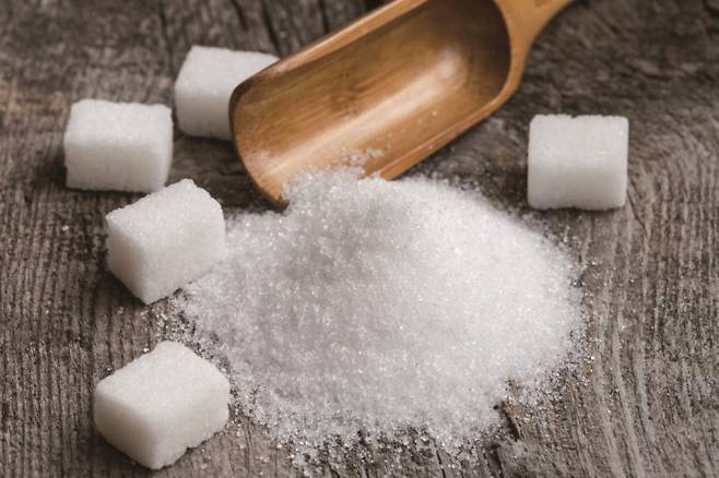 ㅇ1. 대체당을 표현한 이미지. 게티이미지뱅크 제공&nbsp;