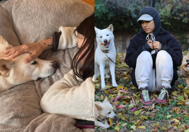 가수 이효리와 이상순 부부가 15년 간 함께한 반려견 구아나와 이별했다. 이상순 SNS