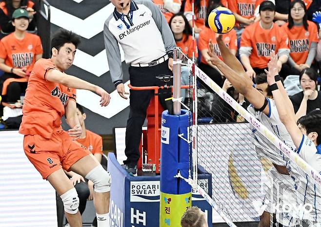 [서울=뉴시스] 남자 프로배구 OK저축은행 차지환이 17일 부산강서체육관에서 열린 진에어 2025~2026 V-리그 남자부 삼성화재와의 경기에서 공격을 시도하고 있다. (사진=KOVO 제공) 2026.01.17.
