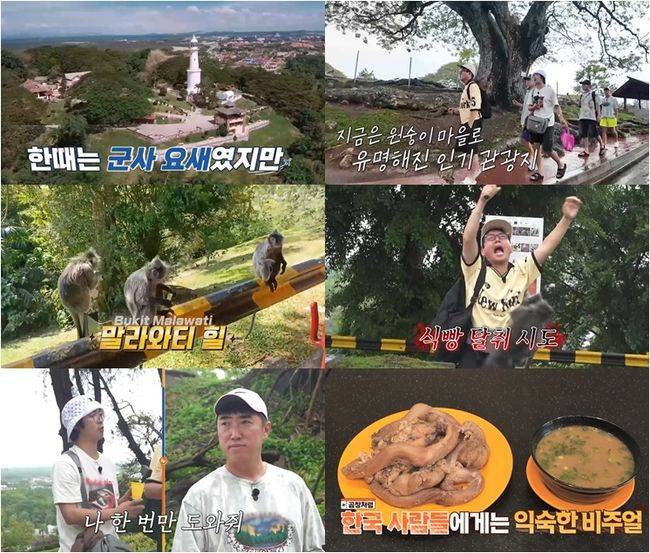 채널S 제공