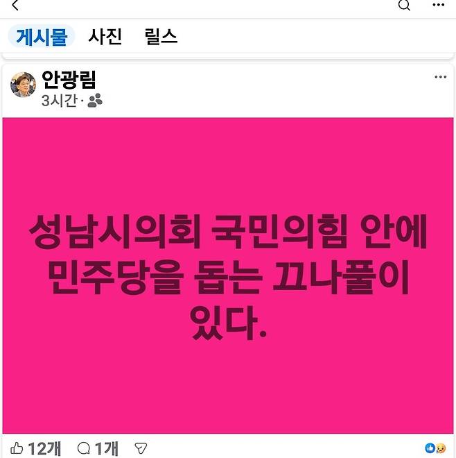 ▲ 성남시의회 안광림 부의장이 18일 오전 SNS(소셜네트워크서비스)인 자신의 페이스북에 "성남시의회 국민의힘 안에 민주당을 돕는 끄나풀이 있다"라고 썼다. /사진제공=안광림 페북 캡처