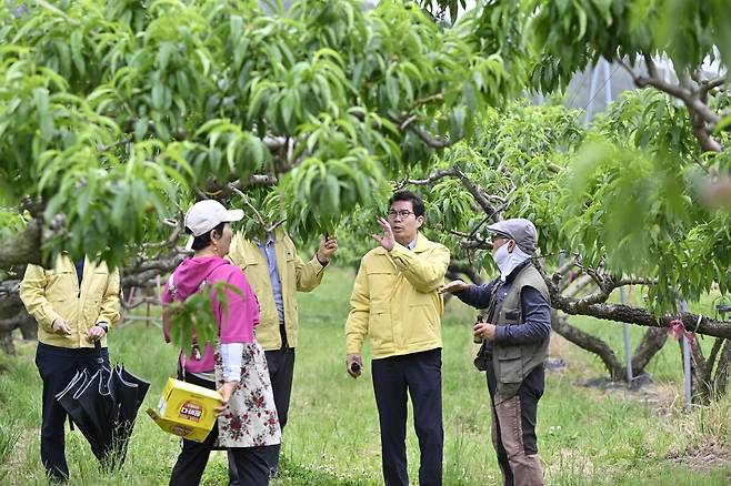 김광열 군수가 과수농가를 둘러 보고있는 모습. /영덕군 제공