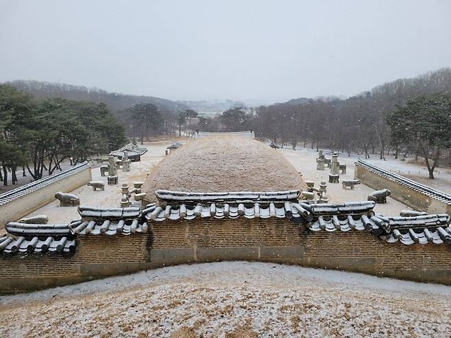 ▲ 파주 장릉 후면.