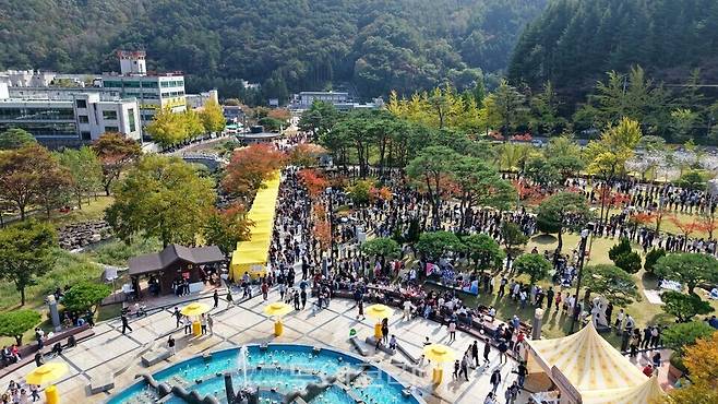 경북도 지정 최우수축제로 선정된 '김천 김밥축제' 모습/사진=경북도