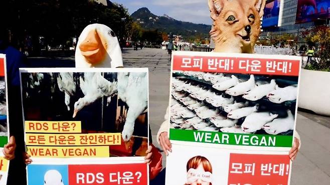 2025년 10월 서울 광화문 이순신 동상 앞에서 비건·동물보호 단체들이 기자회견과 피켓 시위를 열었다. 한국동물보호연합