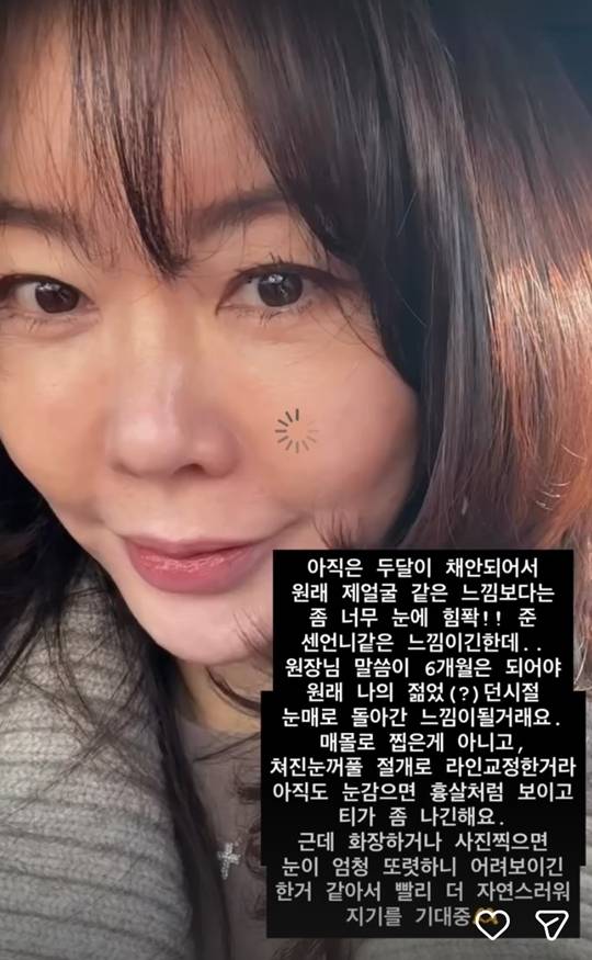 사진=안선영 SNS