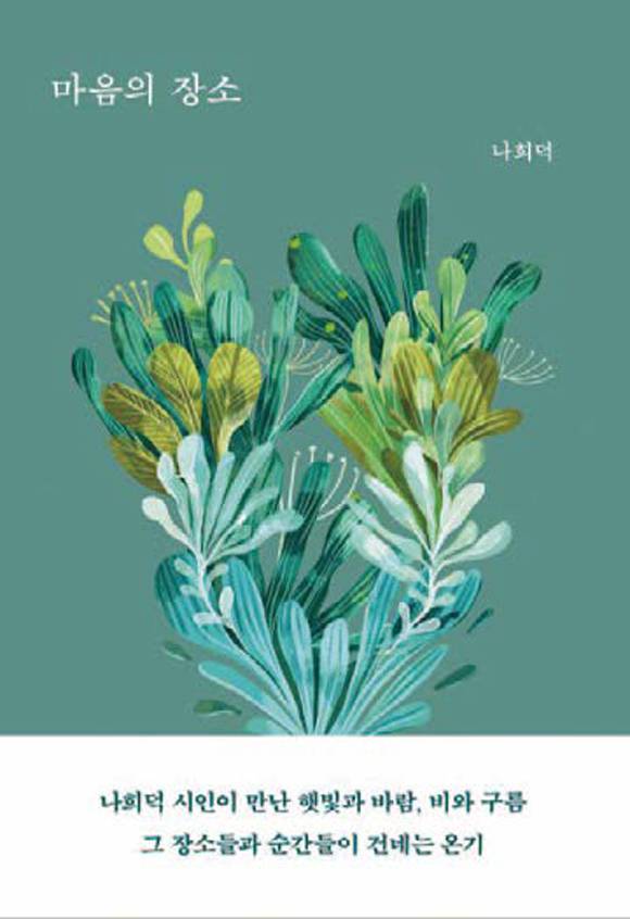 마음의 장소│나희덕 지음│달 펴냄│244쪽│1만8000원