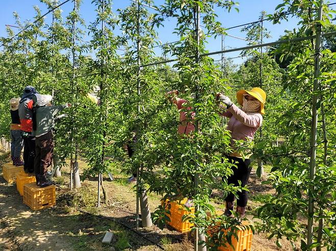 영동군 2025년 공공형 외국인 계절근로자 프로그램 *재판매 및 DB 금지