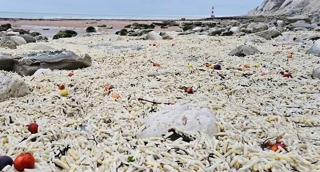 폴링 샌즈 해변에서 떠밀려온 수천 개의 봉지 감자칩 [페이스북 '조엘 보니치' 캡처]