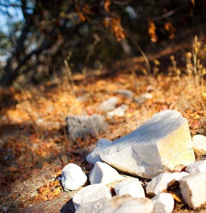 마운트 할란 석회질 포도밭. 인스타그램