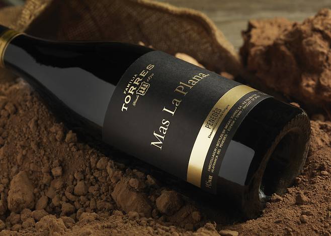 스페인 와인 토레스 '마스 라 플라나'. 금양인터내셔날 제공