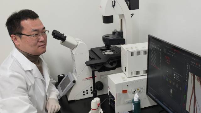 최식원 국립산림과학원 박사가 경남 진주에 위치한 산림바이오소재연구소에서 보리밥나무 추출물 데이터를 살펴보고 있다. 사진 제공=국립산림과학원