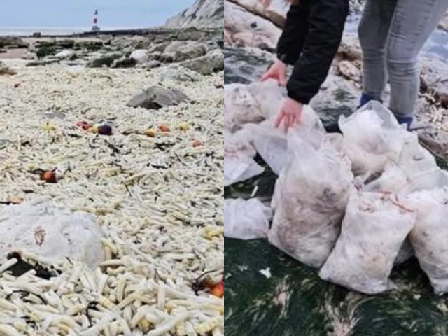 폴링 샌즈 해변에서 떠밀려온 수천 개의 봉지 감자칩과 이를 청소하는 자원 봉사자들. 조엘 보니치 페이스북